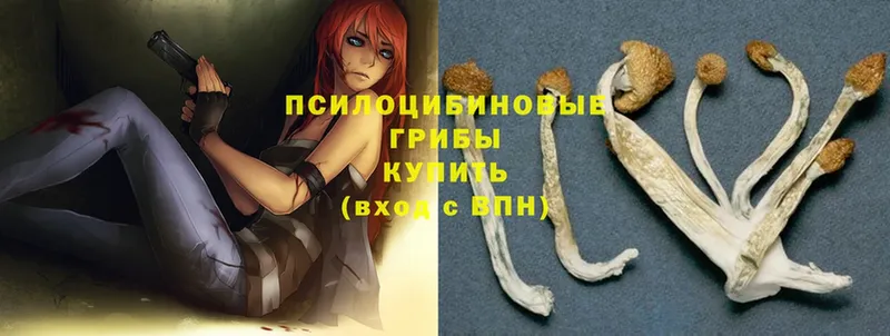 Галлюциногенные грибы Magic Shrooms  Белогорск 